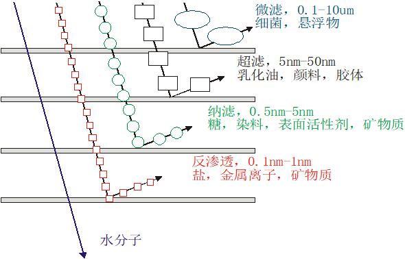 微孔膜.jpg